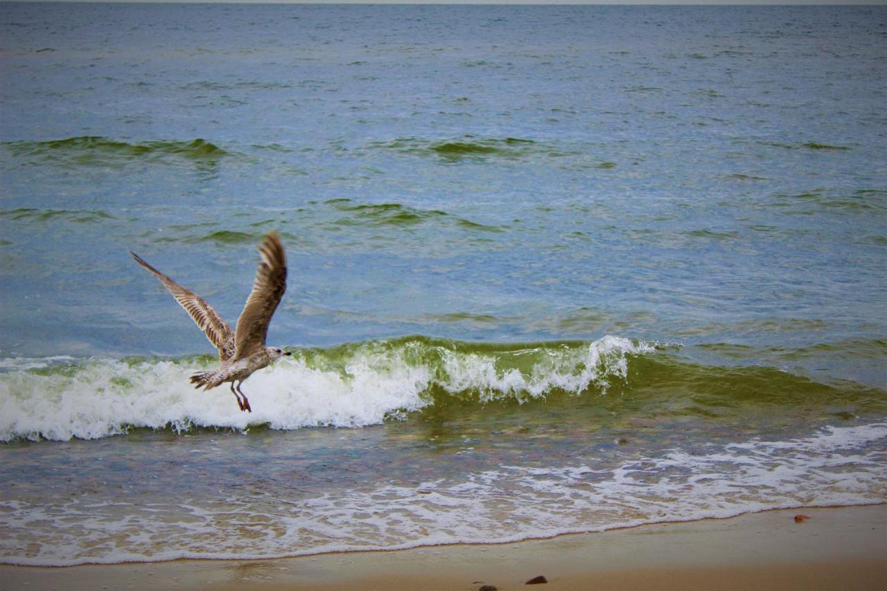 Appartamento Prima Playa Miedzyzdroje Esterno foto